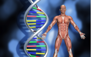 gene editing Duchene muscular dystrophy