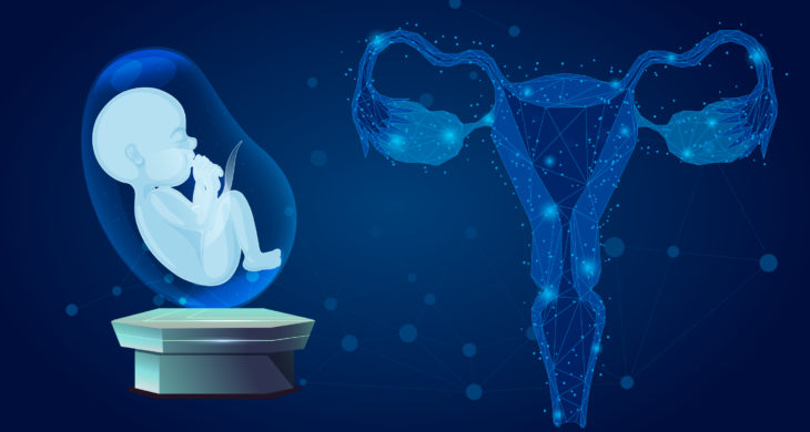bioengineered uterus supports birth