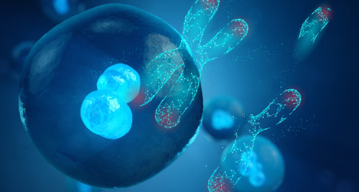 CRISPR unintended chromosomal deletions in human embryos