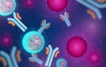 bispecific anitbodies target cancer T cells