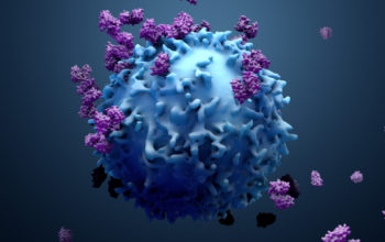 mRNA therapy eradicates tumours