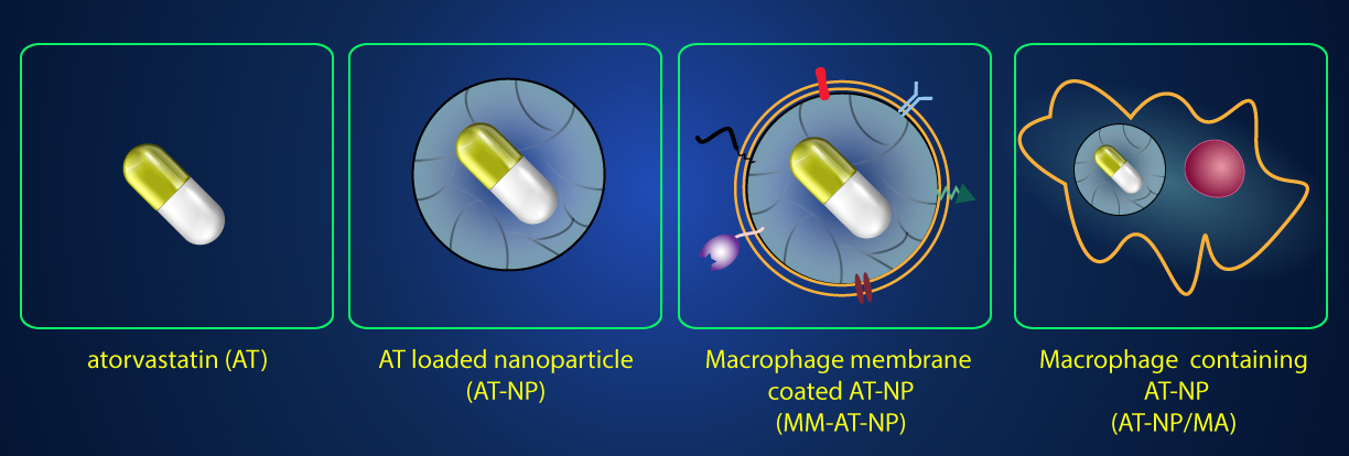 biomimetic nanoparticles treat atherosclerosis