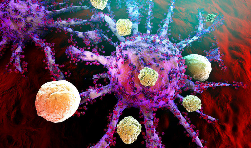cancer cell attacked by immune cells