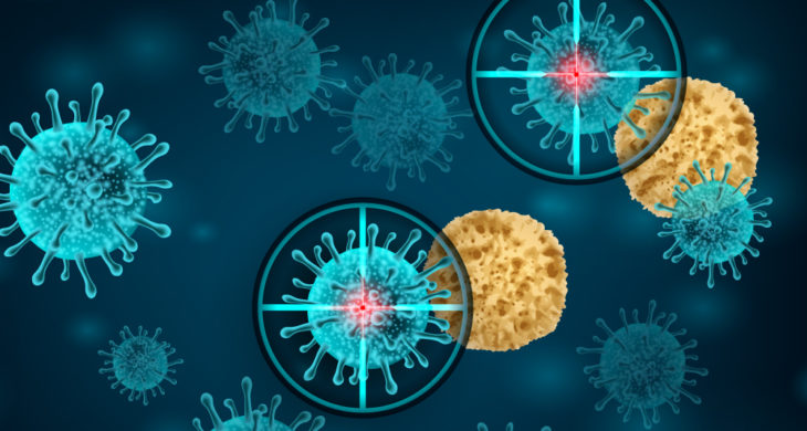 nanosponges neutralise SARS-CoV-2