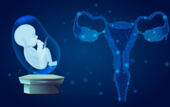 bioengineered uterus supports birth