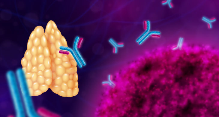 Building a human thymus