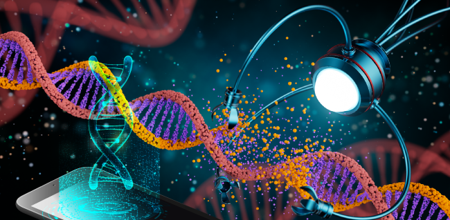 SNP-Chip detects point mutations