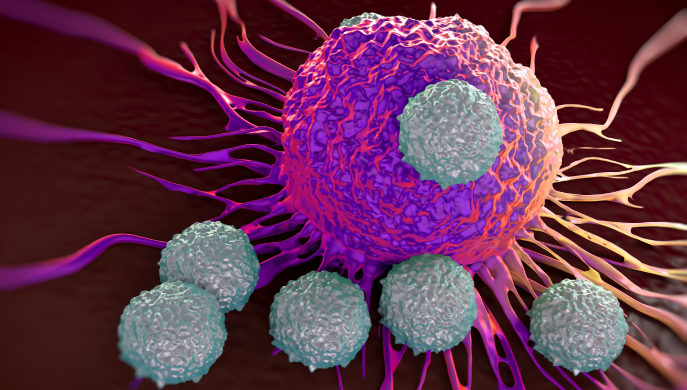 smart cell therapy to treat aggressive solid cancers