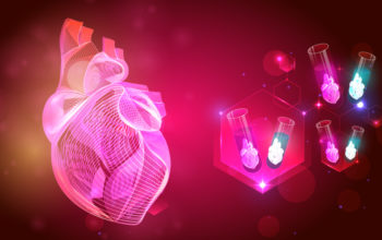 cardioids to accelerate heart disease research