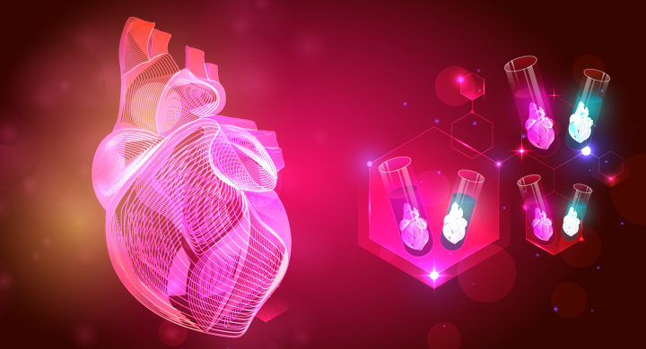 cardioids to accelerate heart disease research