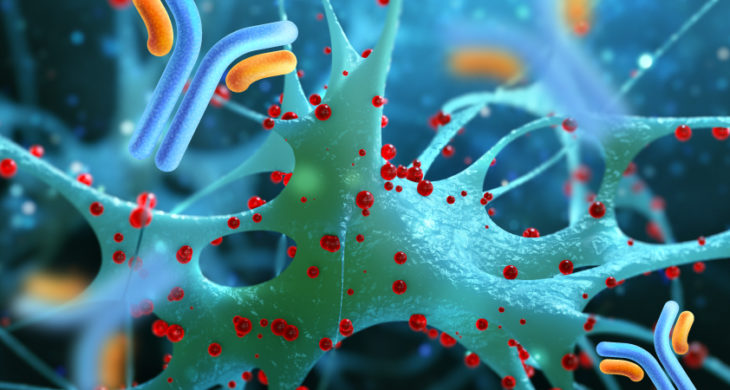 immunotherapy for Alzheimer's disease