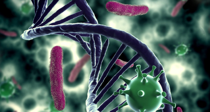 synthetic bacteria are resistant to viral infections