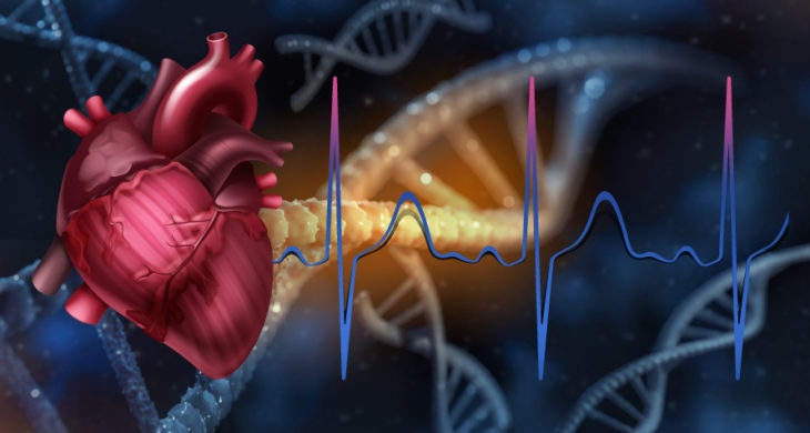 gene therapy restores function after heart attack