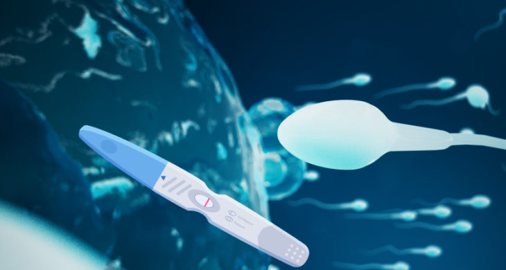 novel anti-sperm antibody as contraception