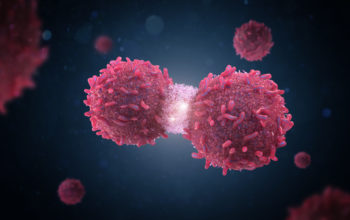 cancer cells drives drug sensitivity