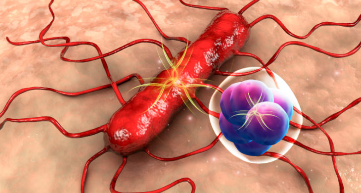 Listeria delivers tetanus to cold tumours